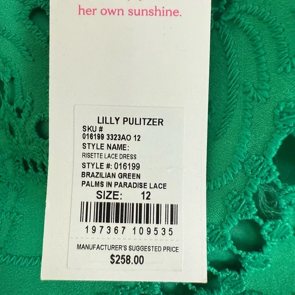 Lilly Pulitzer Brazilian Green Risette Lace Dress - Picture 11 of 15